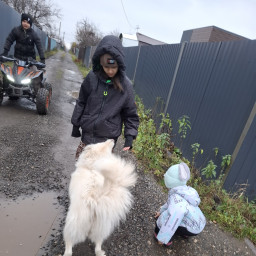Гуляем с нашей любимой собакой