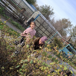 Уборка на участке