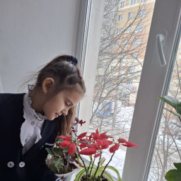Полила цветочки перед школой