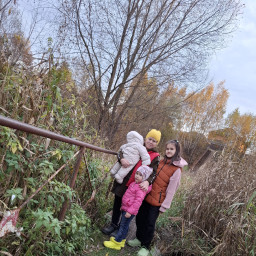 Приехали проведать бабушку