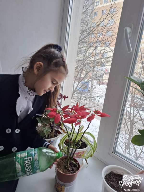 Полила цветочки перед школой
