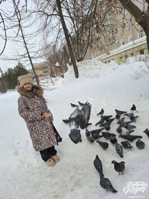 Покормили птиц