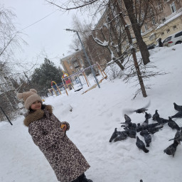 Покормила голубей