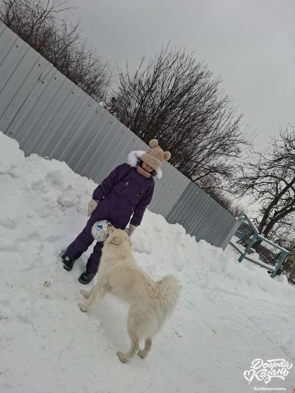 Вышли на прогулку  с нашей любимой собакой Мулей