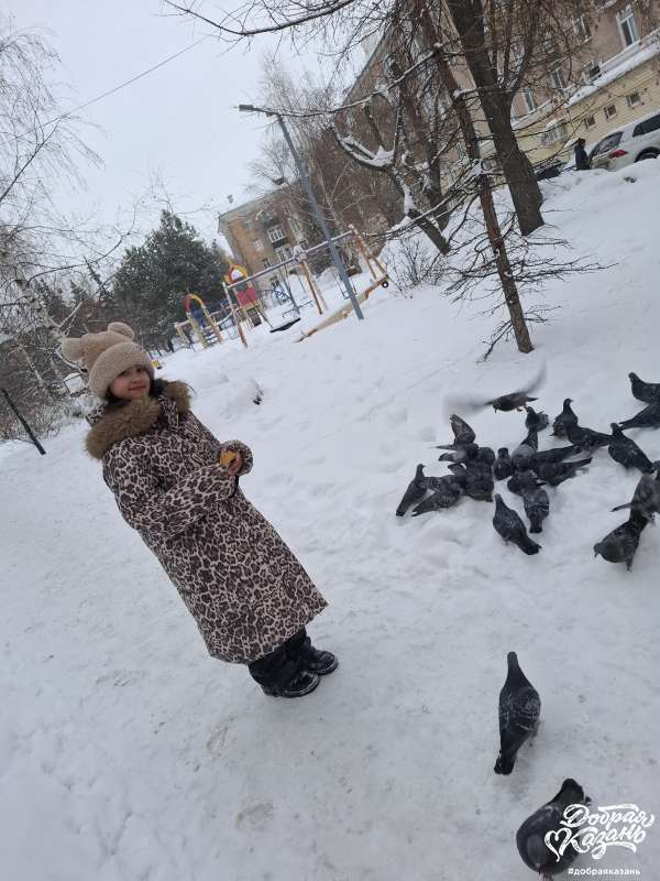 Покормила голубей