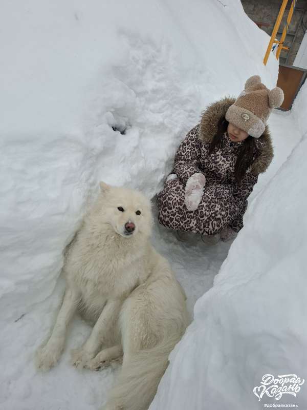 Гуляю с собакой