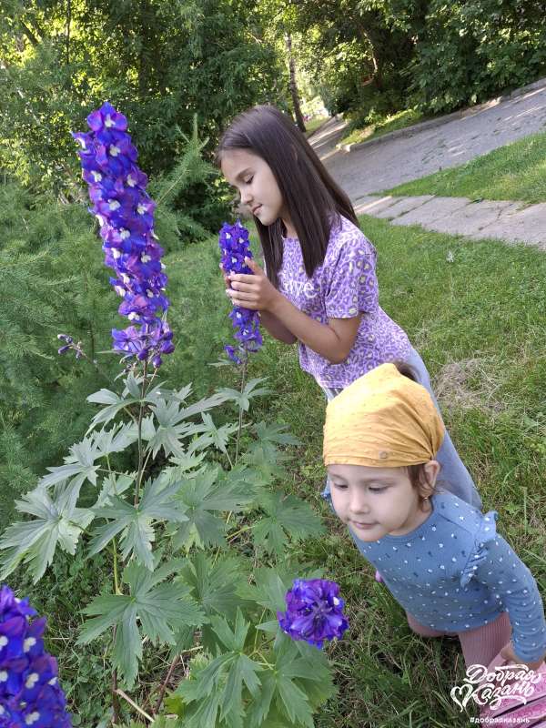 Любуемся цветами и природой