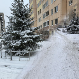 Наблюдение за природой. Зимняя сказка!