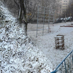 Наблюдение за природой. Первый снег!