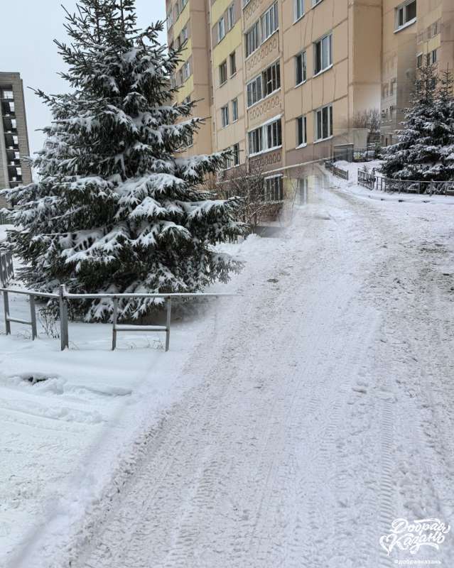 Наблюдение за природой. Зимняя сказка!