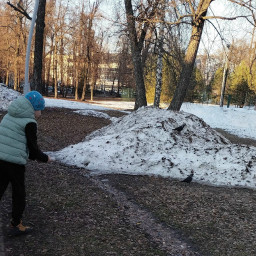 Кормлю птиц в парках
