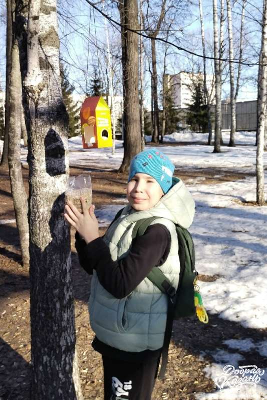 Яркая кормушка для птиц из того, что есть дома