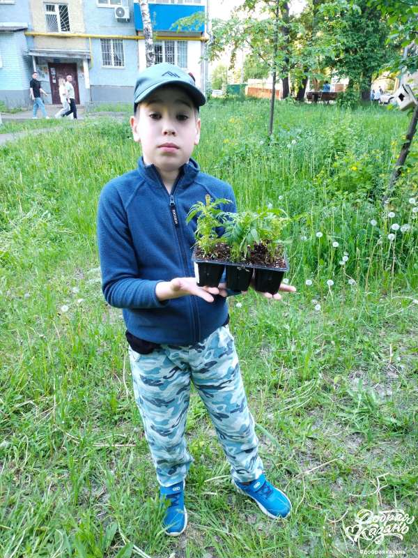 Посадил бархатцы перед подъездом Посадил бархатцы перед подъездом