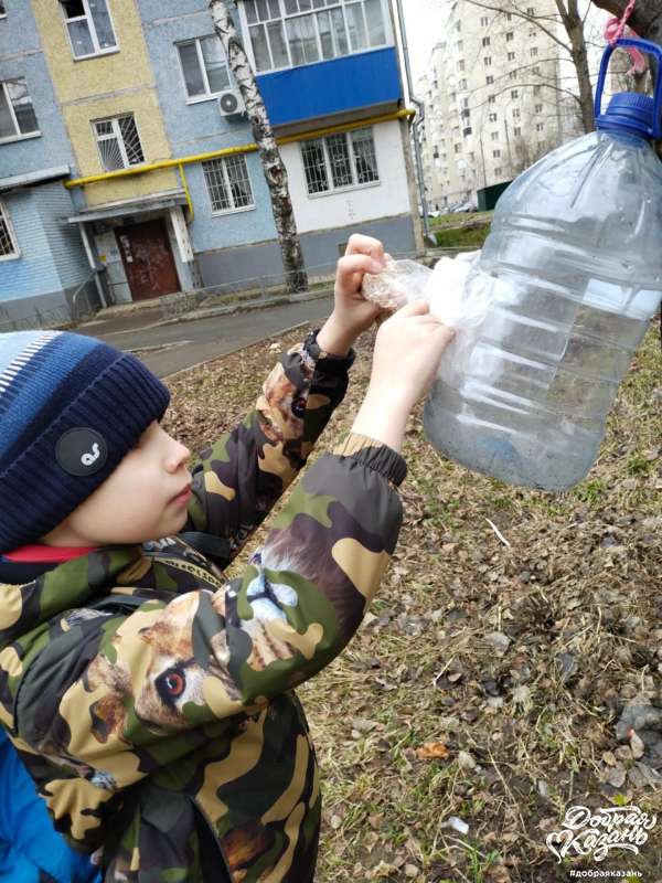 Пополнил кормушку