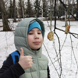 Кормушка для птиц из засохшего хлеба