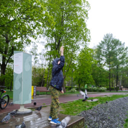 Покормил уток в парке Урицкого