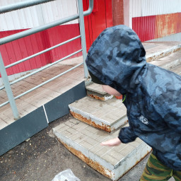 Покормил бездомную кошку