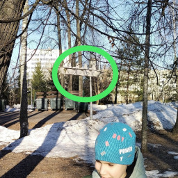 Кормушка для птиц из яичного лотка