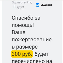 Принял участие в сборе денег на приобретение средств отпугивания белых медведей в прибрежных населенных пунктах Арктики