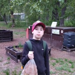 Сдаю органические отходы в компостер