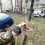 Принял участие в акции «Сделай сам и накорми» 3
