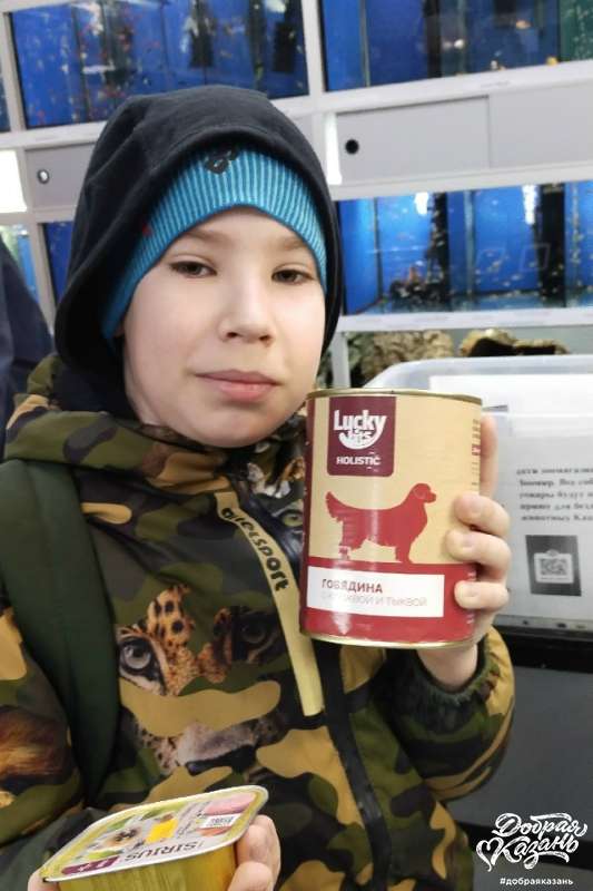Принял участие в благотворительной акции по сбору корму для животных из приюта