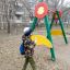 Участвую во Всероссийской переписи грачей 0