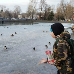 Покормил уток в парке Урицкого