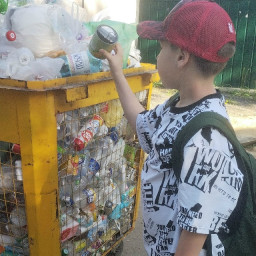 Сдаю консервные банки на переработку в желтую сетку