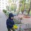 Собрал мусор в соседнем дворе 2