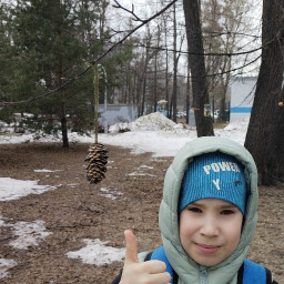 Кормушка для птиц из шишки