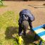 Собрал мусор на детской площадке во дворе нашего дома 2