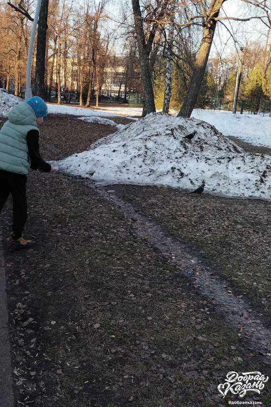 Кормлю птиц в парках