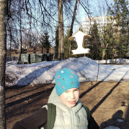 Сделал кормушку для птиц из деревянных деталей