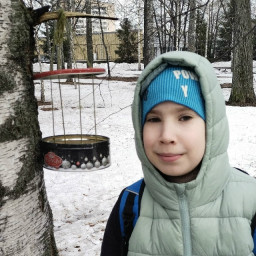 Кормушка для птиц из жестяной коробки от печенья