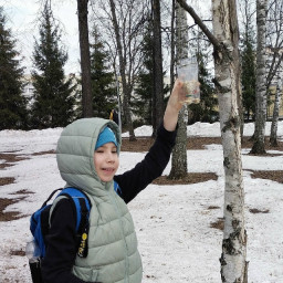 Бункерная кормушка для птиц из пластиковой бутылки