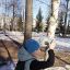 Сделал кормушку для птиц из подарочной коробки 0