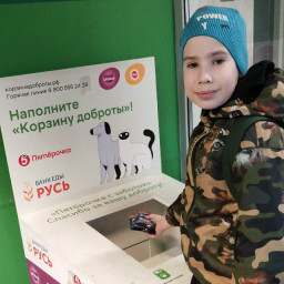 Положил корм в Корзину доброты в Пятёрочке