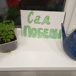 "80 добрых дел к Победе"