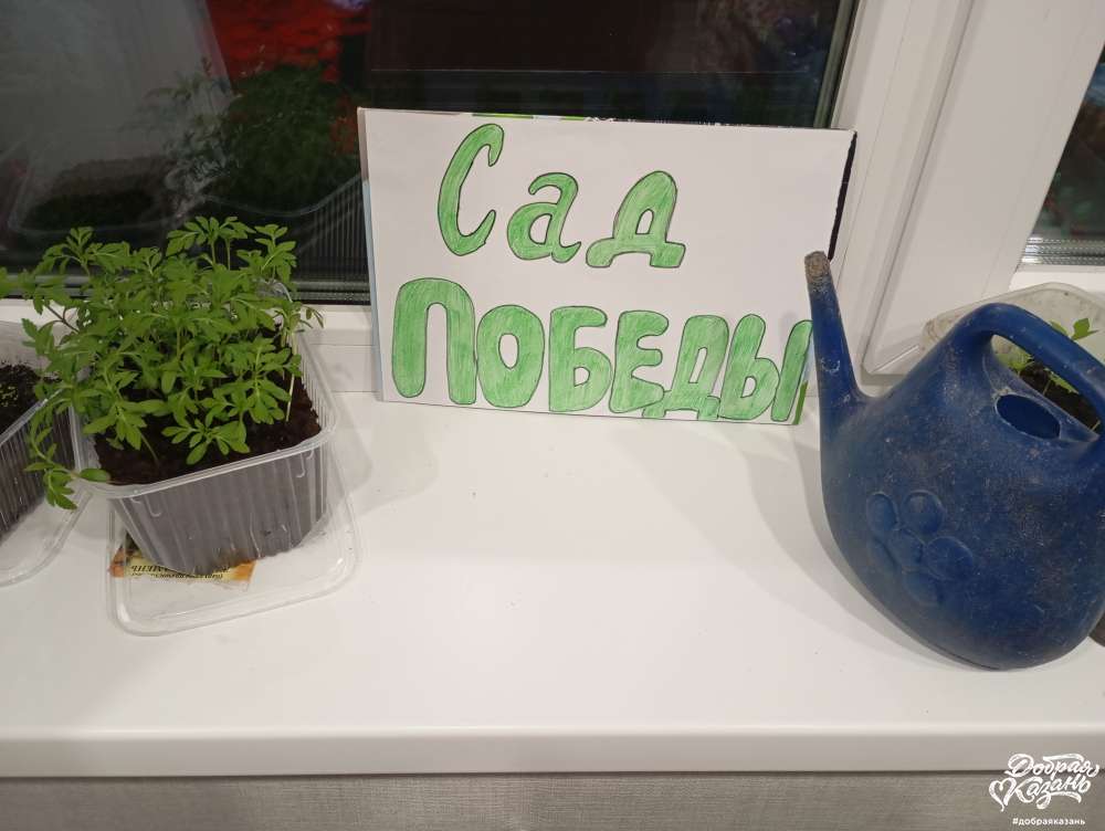 "80 добрых дел к Победе"