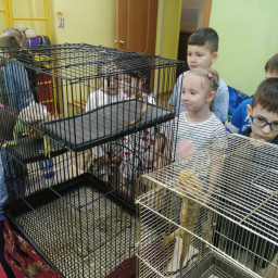 Жалко ящериц.