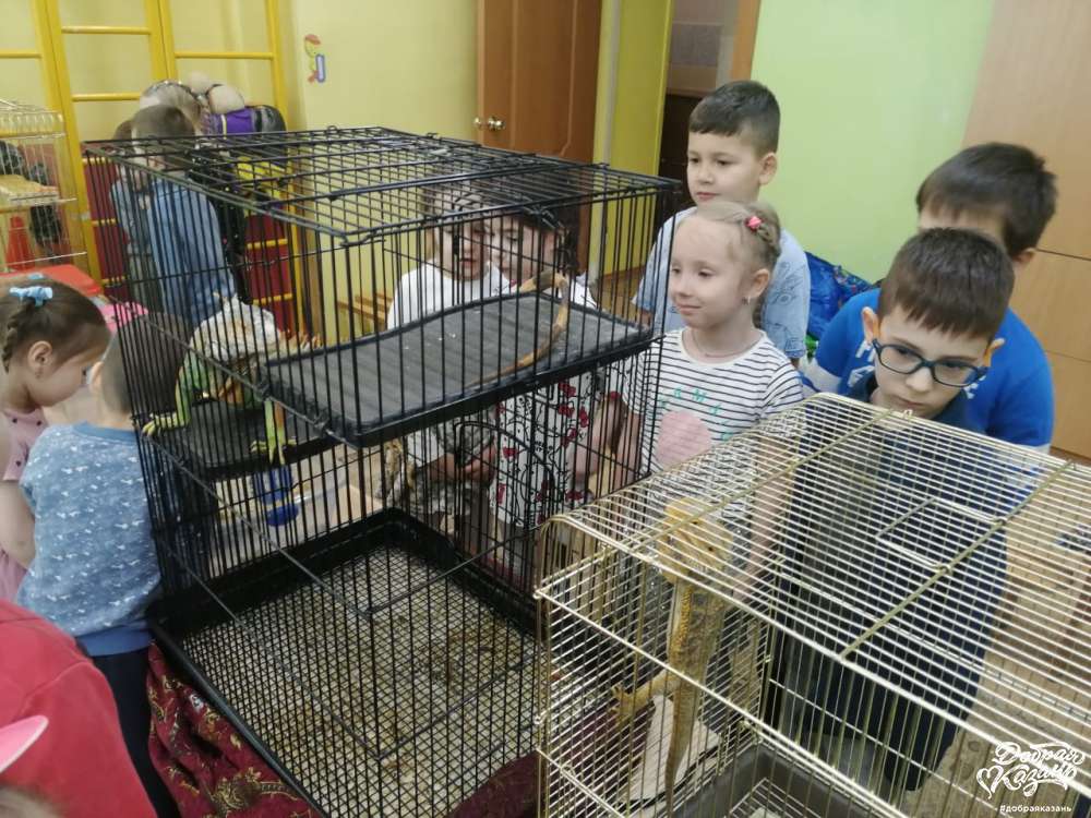 Жалко ящериц.