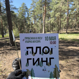 Плоггинг