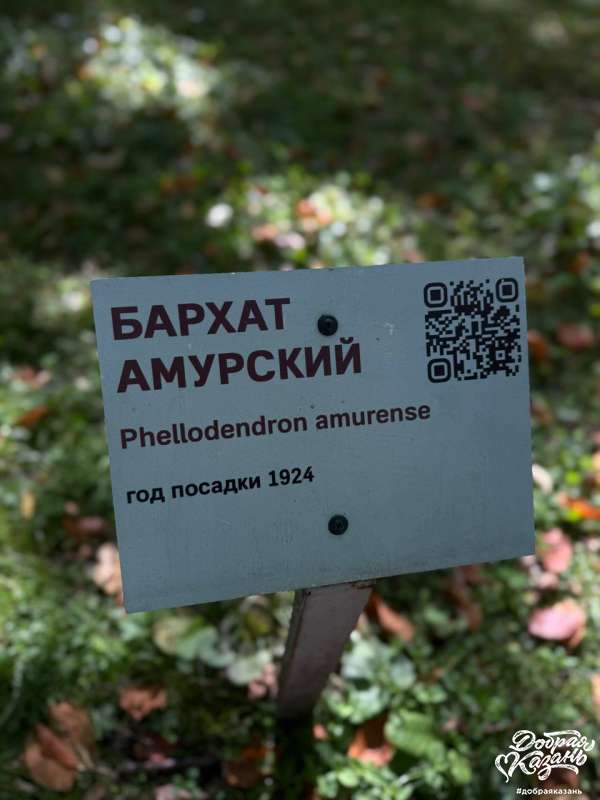 Раифский дендрарий