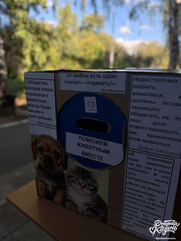 Помощь животным