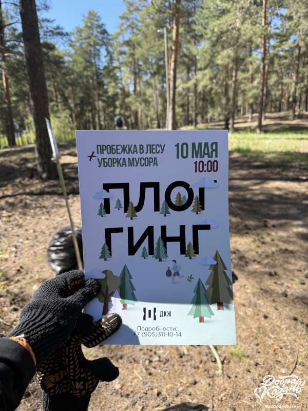 Плоггинг