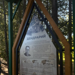 Дендрарий