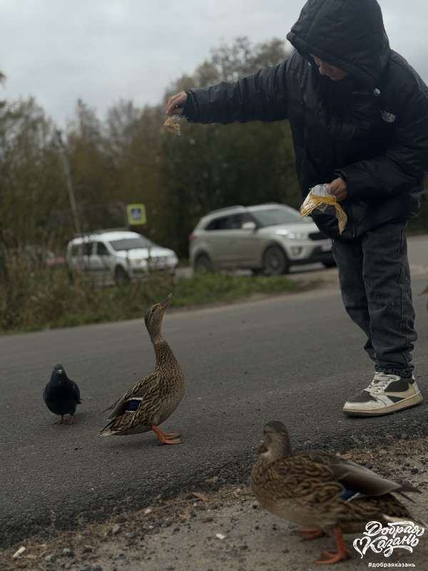 Кормил уток