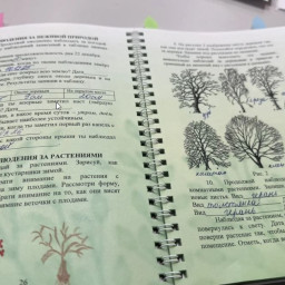 Дневник юного натуралиста