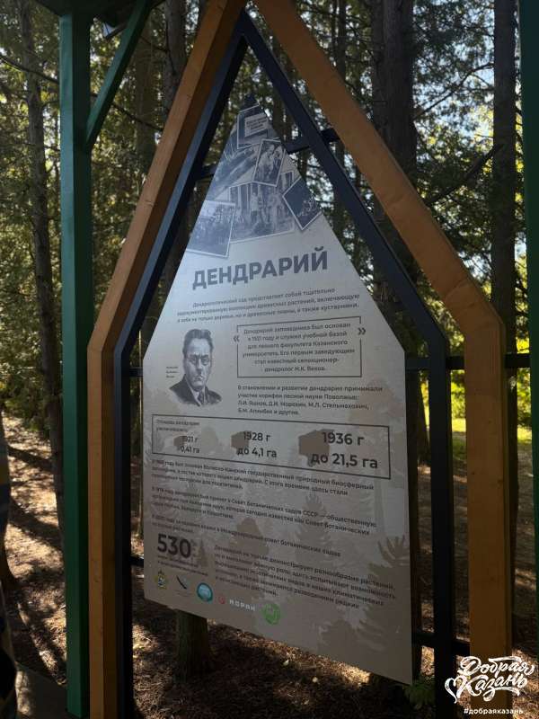 Дендрарий